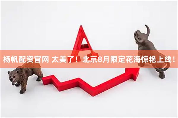 杨帆配资官网 太美了！北京8月限定花海惊艳上线！